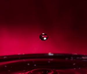 Preview wallpaper drop, water, liquid, macro, red