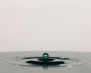 Preview wallpaper drop, water, macro, splash, liquid