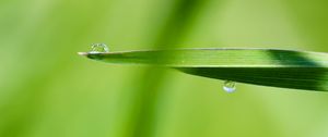 Preview wallpaper drop, water, rain, leaves, macro, green