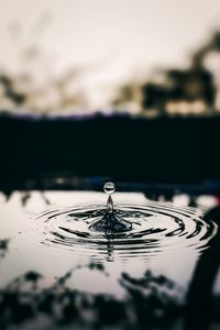 Preview wallpaper drop, water, ripples, macro