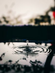 Preview wallpaper drop, water, ripples, macro