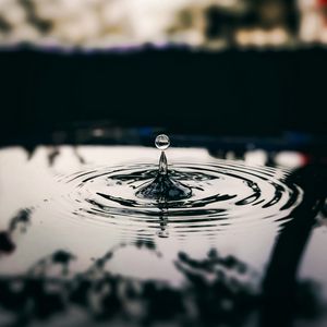 Preview wallpaper drop, water, ripples, macro, blur