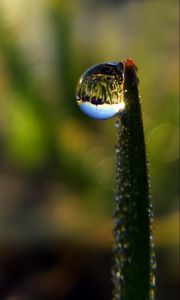 Preview wallpaper droplet, dew, grass, shape