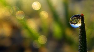 Preview wallpaper droplet, dew, grass, shape