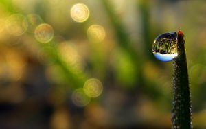 Preview wallpaper droplet, dew, grass, shape