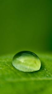 Preview wallpaper droplet, dew, leaf, surface