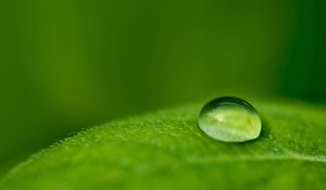 Preview wallpaper droplet, dew, leaf, surface