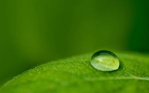 Preview wallpaper droplet, dew, leaf, surface