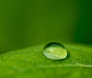 Preview wallpaper droplet, dew, leaf, surface