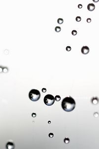 Preview wallpaper drops, bubbles, macro, blur