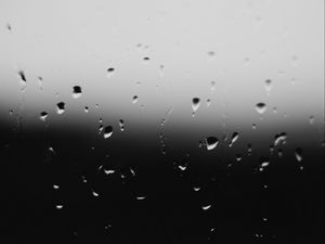 Preview wallpaper drops, bw, glass, water