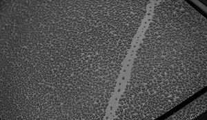 Preview wallpaper drops, bw, macro, wet