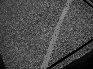 Preview wallpaper drops, bw, macro, wet