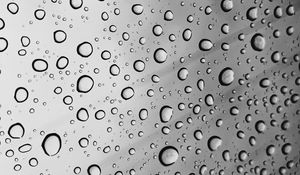 Preview wallpaper drops, bw, moisture, glass, surface, circles