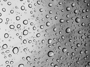 Preview wallpaper drops, bw, moisture, glass, surface, circles