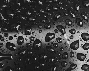Preview wallpaper drops, close-up, bw