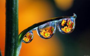 Preview wallpaper drops, dew, colorful, reflection