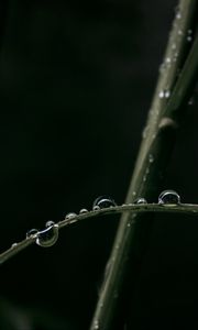 Preview wallpaper drops, dew, grass, macro, leaves