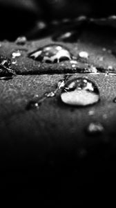 Preview wallpaper drops, dew, surface, shadow, black and white