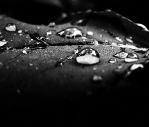 Preview wallpaper drops, dew, surface, shadow, black and white
