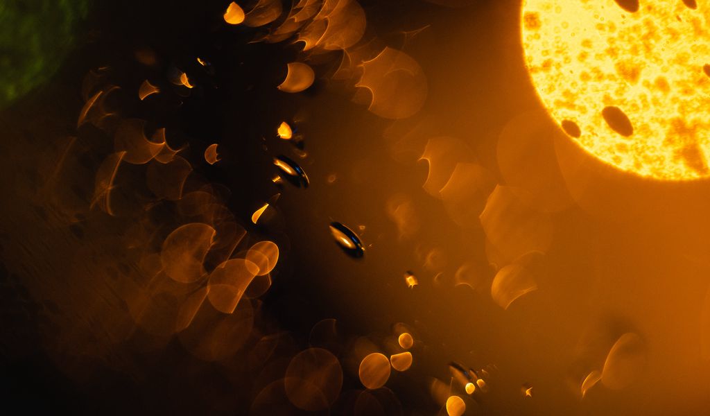 1024x600 Wallpaper drops, glare, light, macro, blur