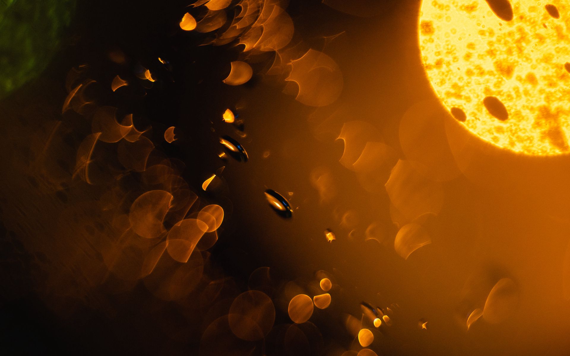 1920x1200 Wallpaper drops, glare, light, macro, blur