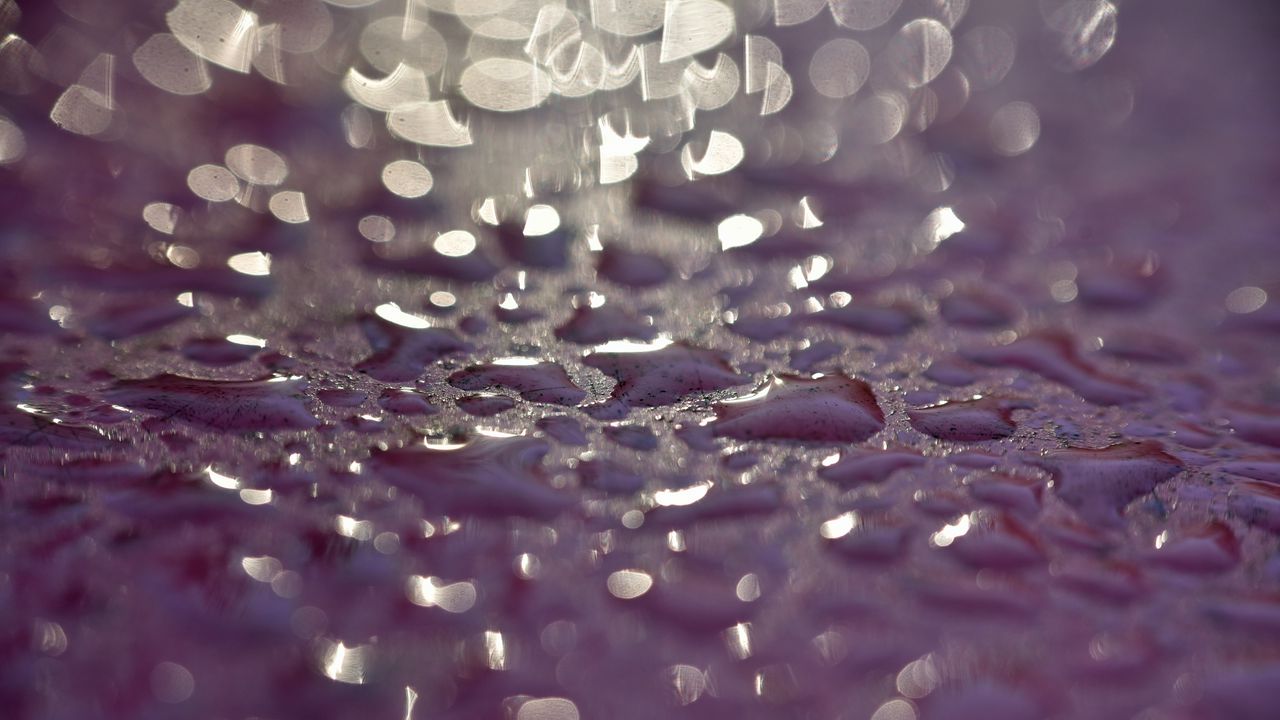 Wallpaper drops, glare, textures, purple, macro