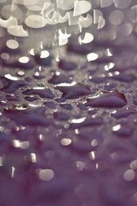 Preview wallpaper drops, glare, textures, purple, macro