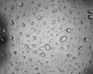 Preview wallpaper drops, glass, bw, wet