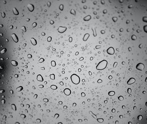 Preview wallpaper drops, glass, bw, wet