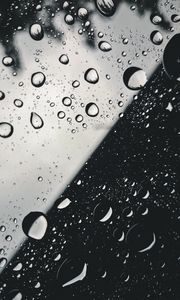 Preview wallpaper drops, glass, macro, black and white, bw