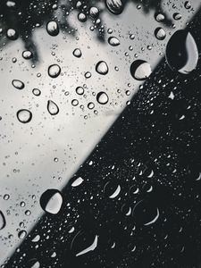 Preview wallpaper drops, glass, macro, black and white, bw