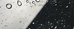 Preview wallpaper drops, glass, macro, black and white, bw