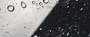 Preview wallpaper drops, glass, macro, black and white, bw