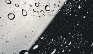 Preview wallpaper drops, glass, macro, black and white, bw
