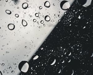 Preview wallpaper drops, glass, macro, black and white, bw