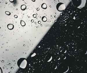 Preview wallpaper drops, glass, macro, black and white, bw