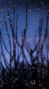 Preview wallpaper drops, glass, moisture, branches, blur