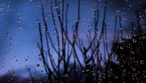 Preview wallpaper drops, glass, moisture, branches, blur