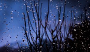 Preview wallpaper drops, glass, moisture, branches, blur