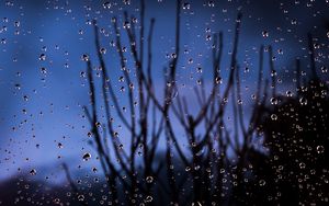 Preview wallpaper drops, glass, moisture, branches, blur