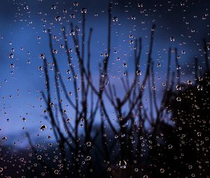 Preview wallpaper drops, glass, moisture, branches, blur