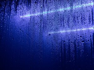 Preview wallpaper drops, glass, moisture, purple