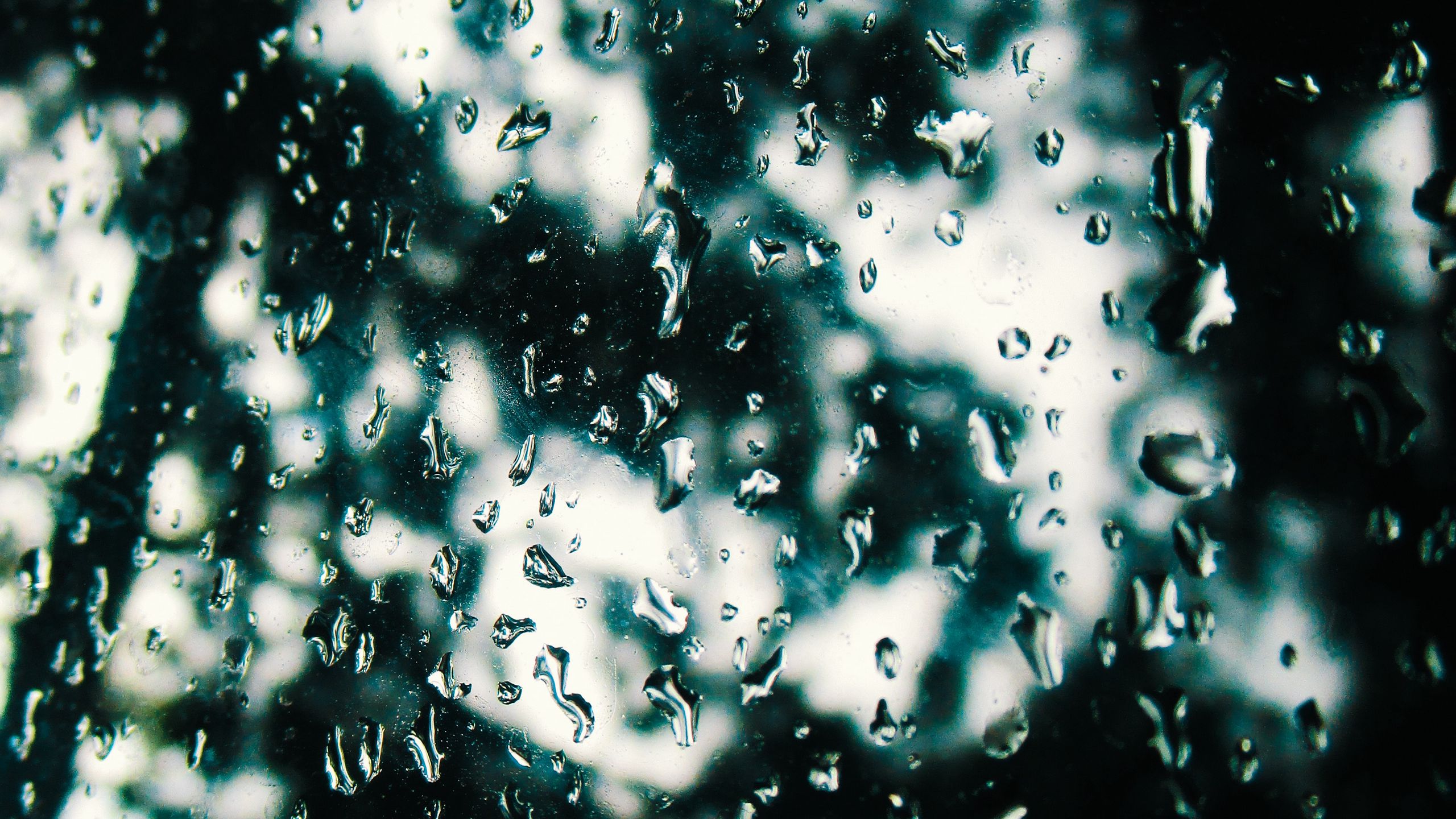 Download Wallpaper 2560x1440 Drops Glass Rain Window Blur