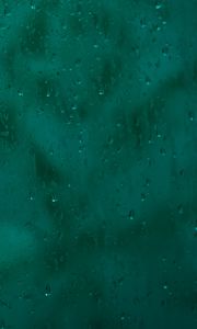 Preview wallpaper drops, glass, rain, blurred