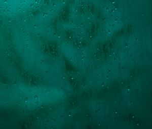 Preview wallpaper drops, glass, rain, blurred
