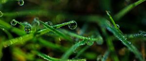 Preview wallpaper drops, grass, dew, close-up