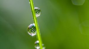 Preview wallpaper drops, grass, reflection, macro