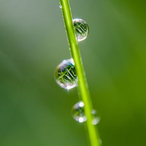 Preview wallpaper drops, grass, reflection, macro