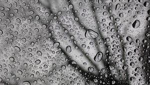 Preview wallpaper drops, macro, bw, moisture, rain